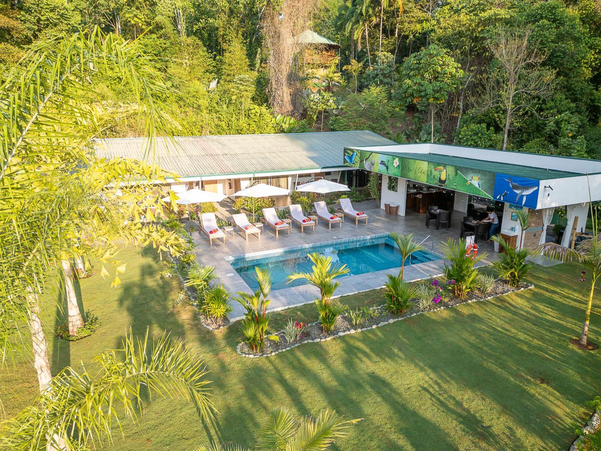 Paradiselodge Jungleguesthouse Platanillo 外观 照片