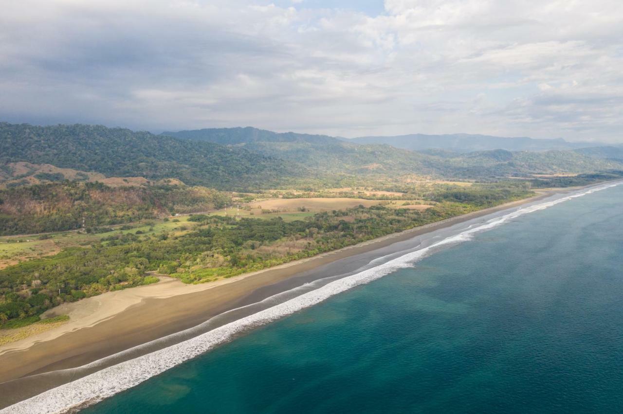 Paradiselodge Jungleguesthouse Platanillo 外观 照片